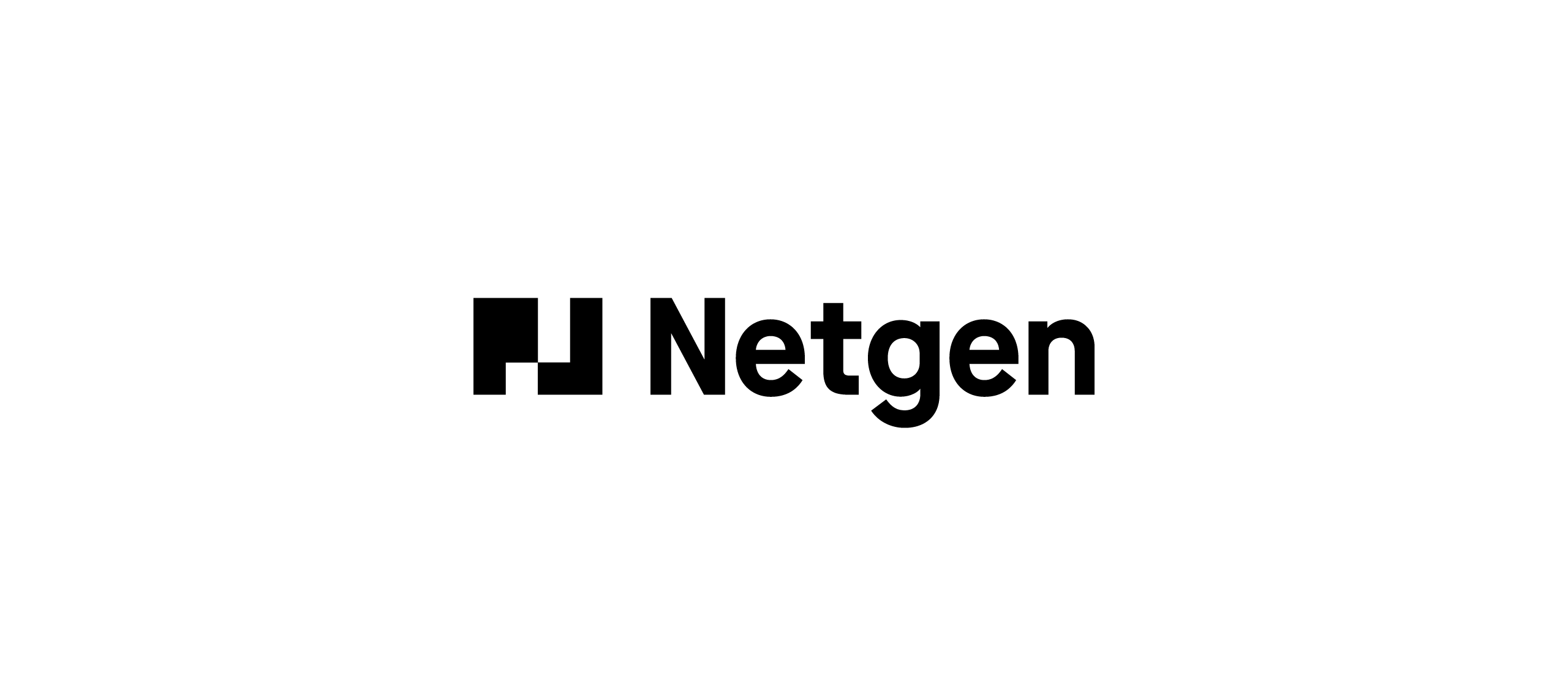 Netgen-Idna-Website